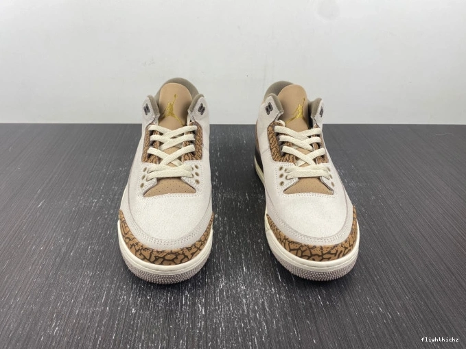 CT8532-102 3 Palomino Jordan Air 1010